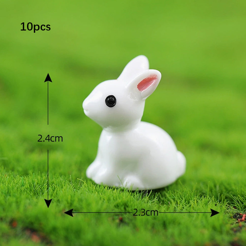 Cute Miniature Animal